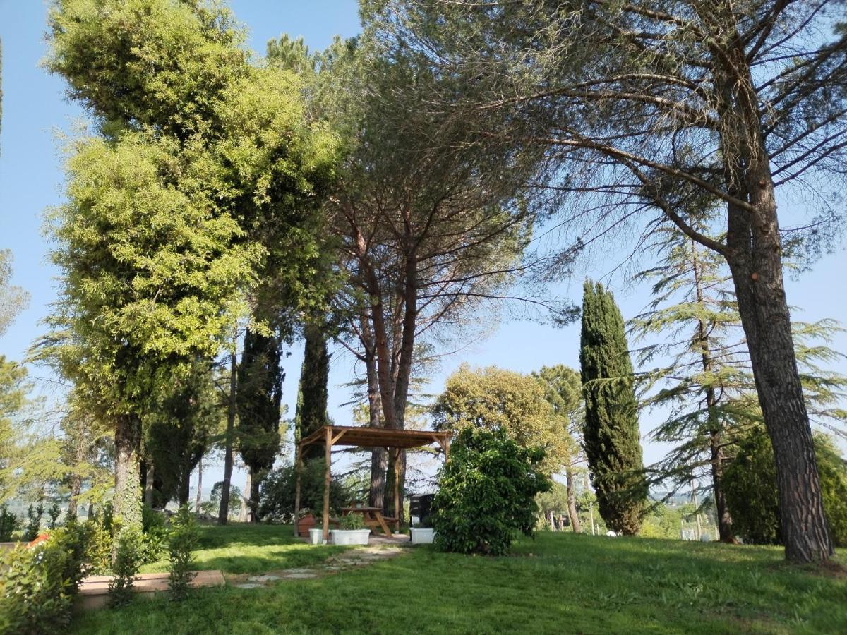Agriturismo Poggio Rotondo San Gimignano Extérieur photo
